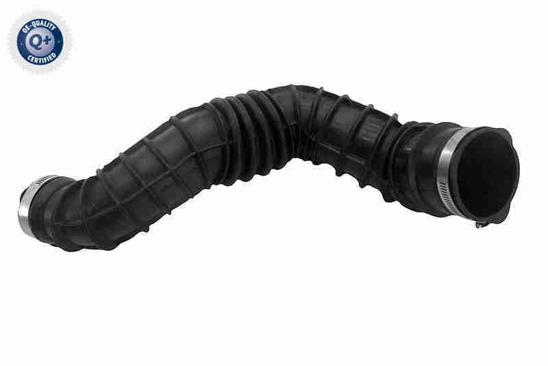 Intake Hose, air filter - V25-2281