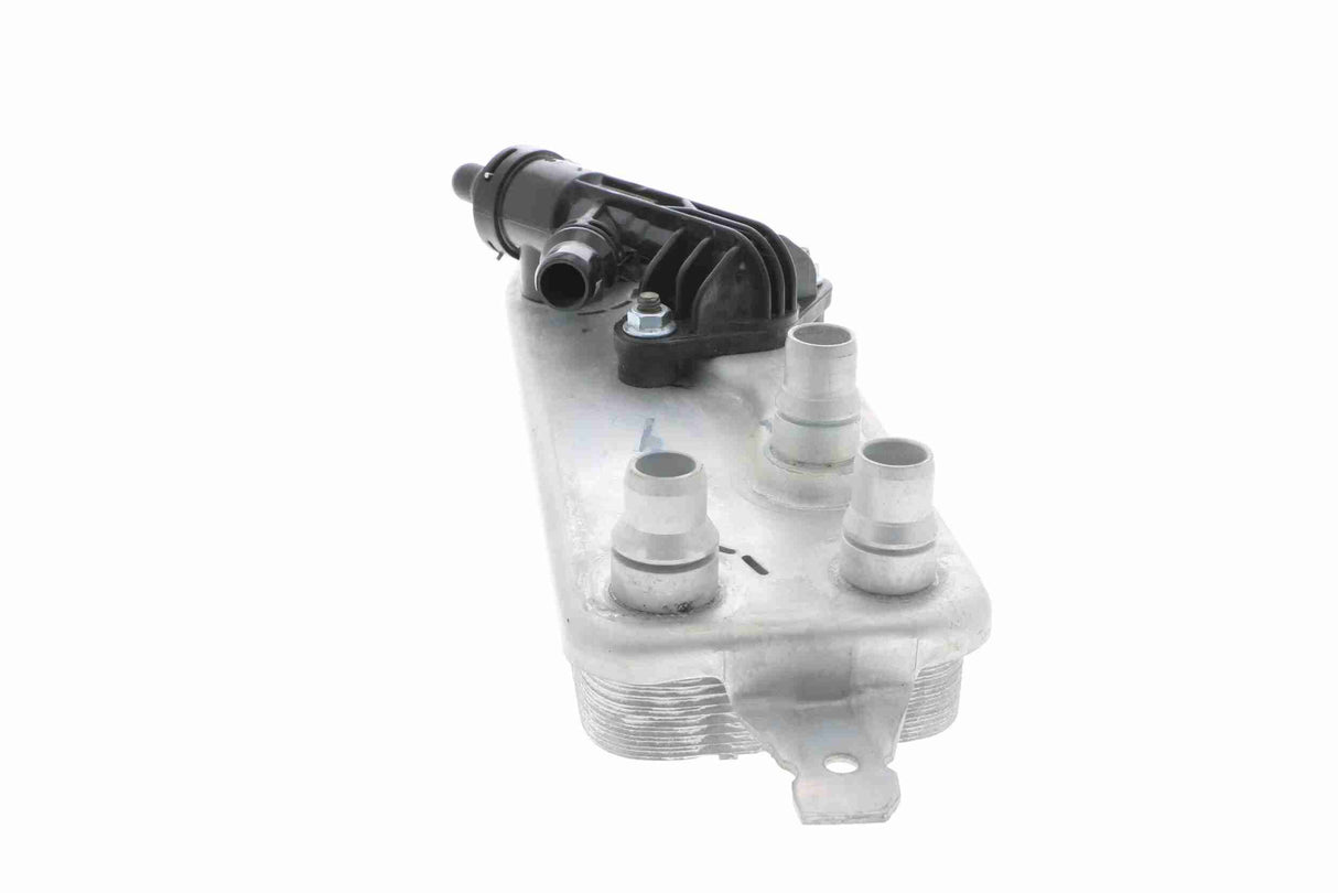 Oil Cooler, automatic transmission - V20-60-0054