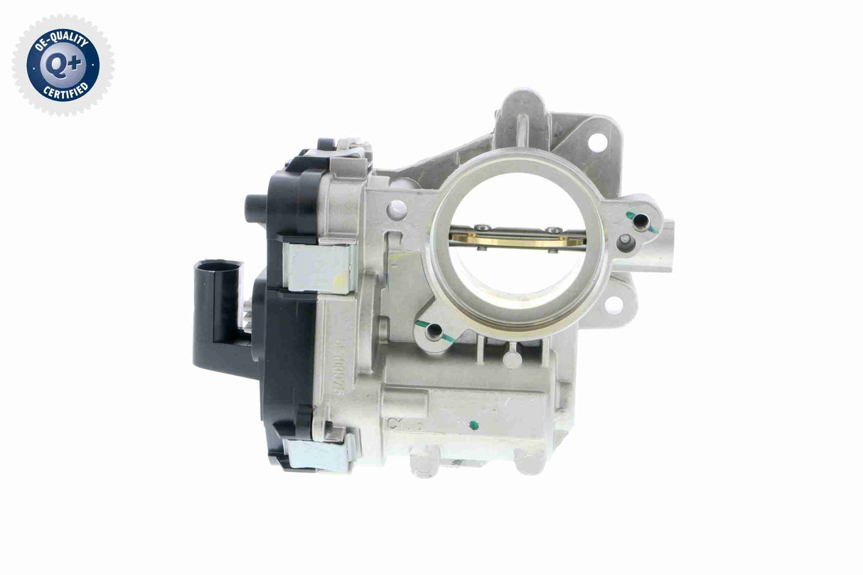 Throttle Body - V24-81-0007