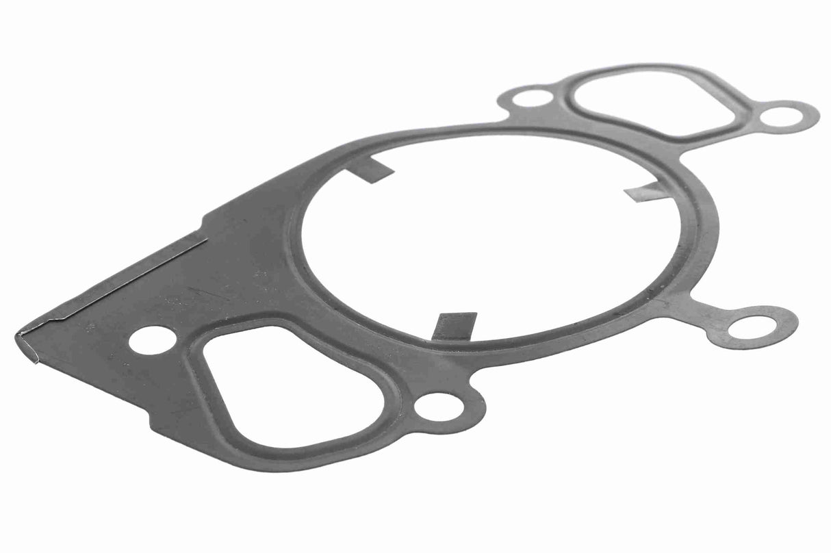 Water Pump, engine cooling - V48-50012