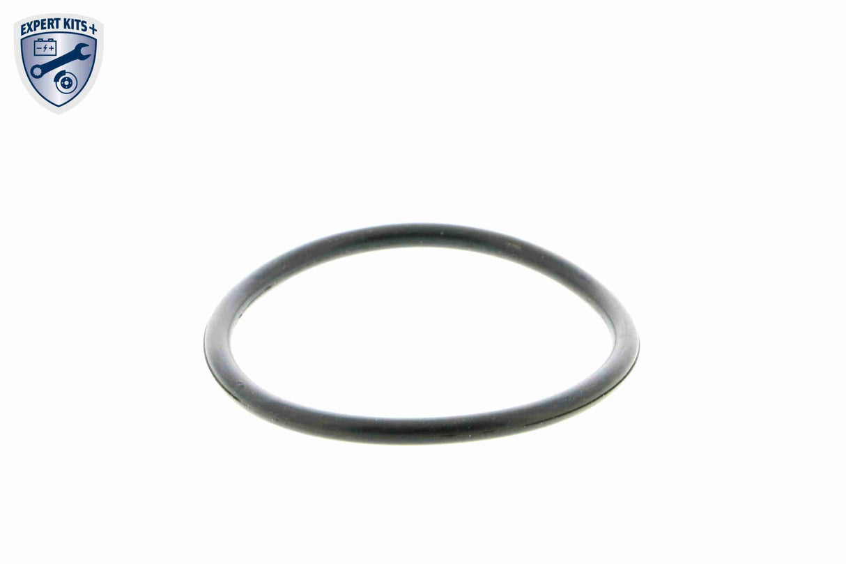 Thermostat Housing - V15-99-2024