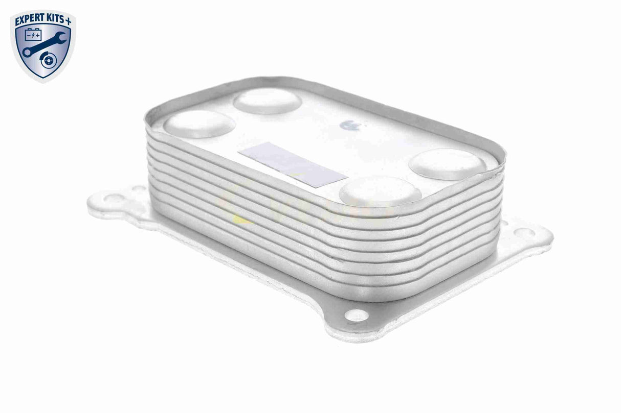 Oil Cooler, engine oil - V24-60-0020