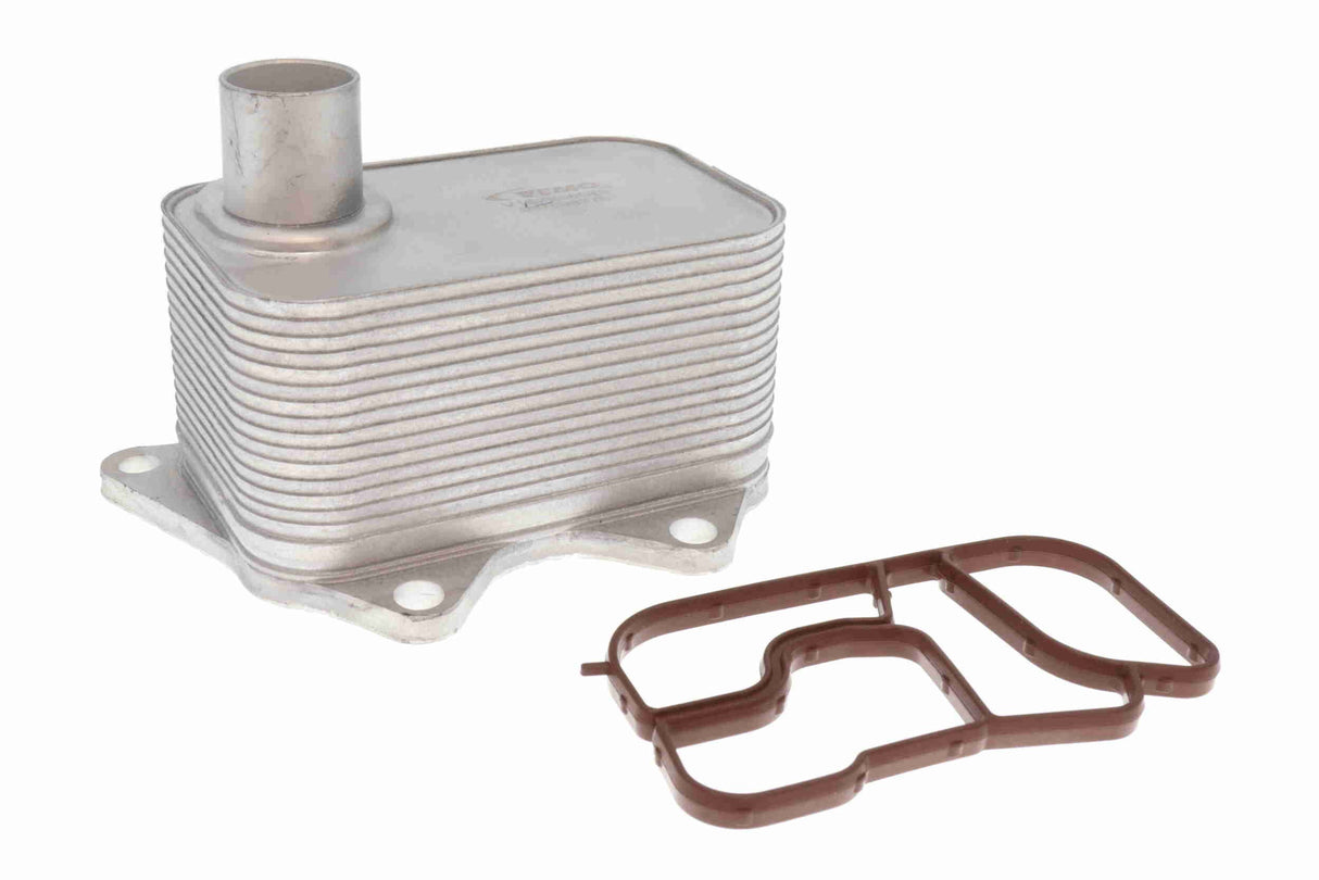 Oil Cooler, engine oil - V15-60-6020