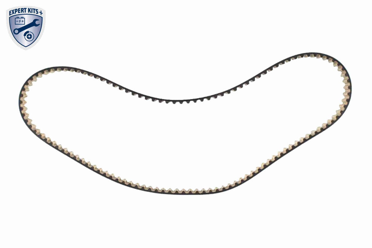 Timing Belt Kit - V25-3148