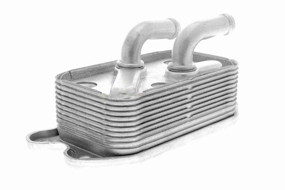 Oil Cooler, engine oil - V95-60-0013