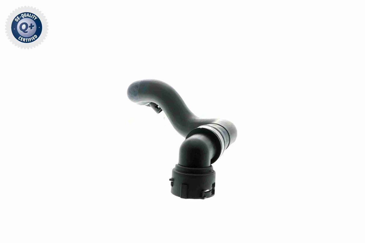 Radiator Hose - V20-1762