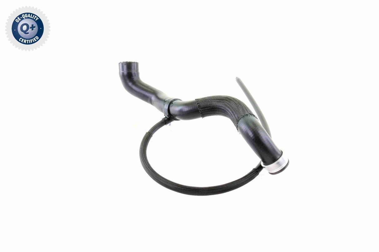 Radiator Hose - V30-1654
