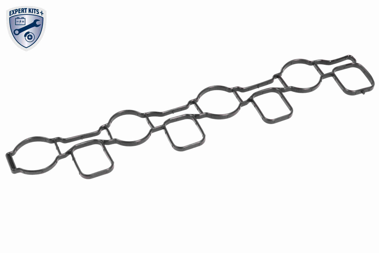 Intake Manifold Module - V10-5268
