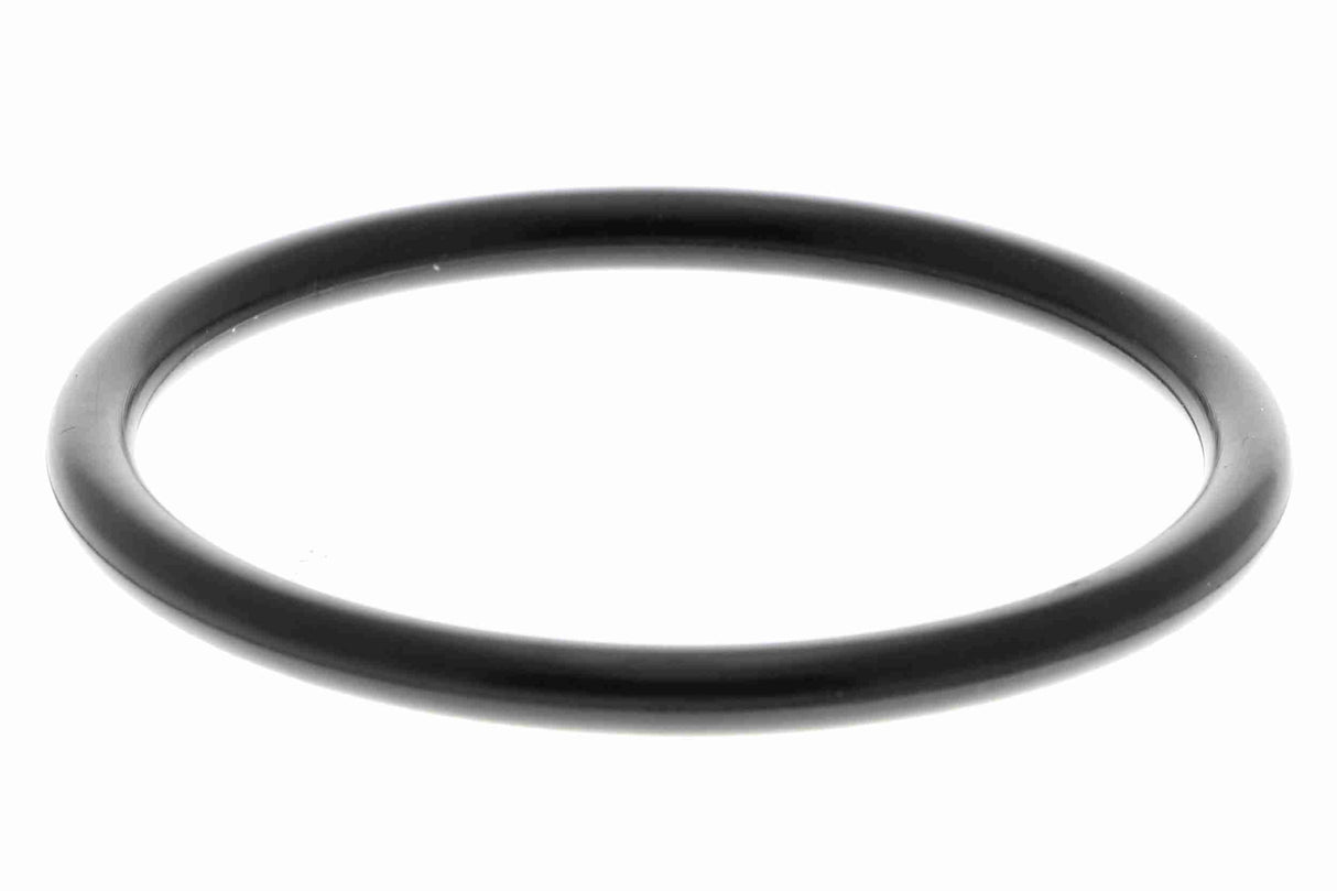 Valve, crankcase ventilation - V30-2402