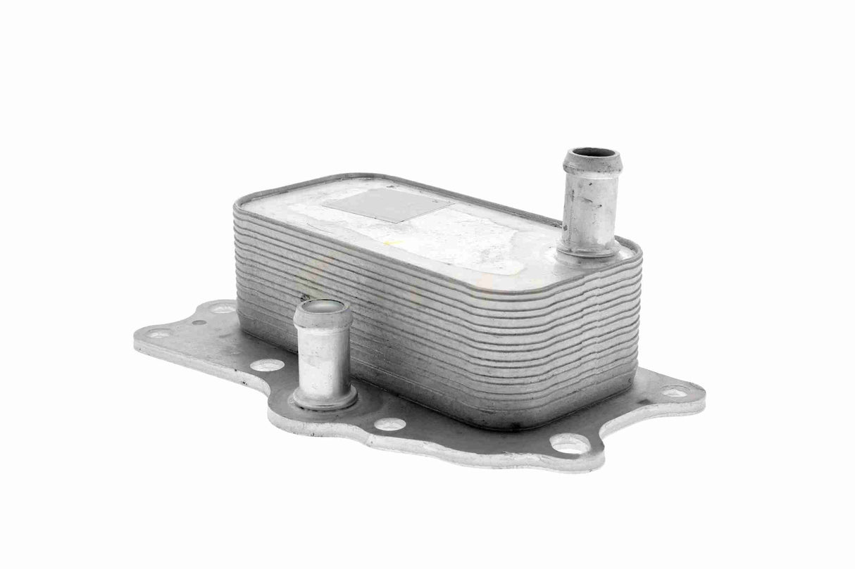 Oil Cooler, engine oil - V51-60-0004