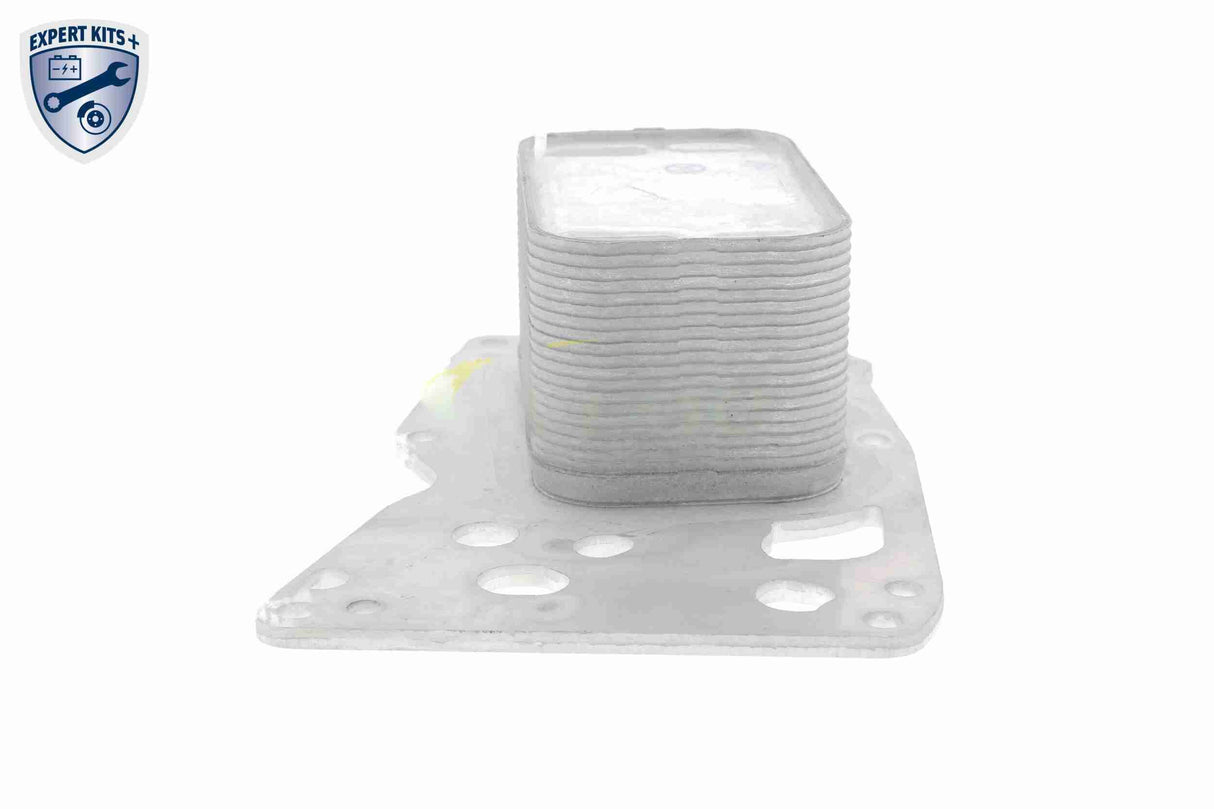 Oil Cooler, engine oil - V20-60-0076