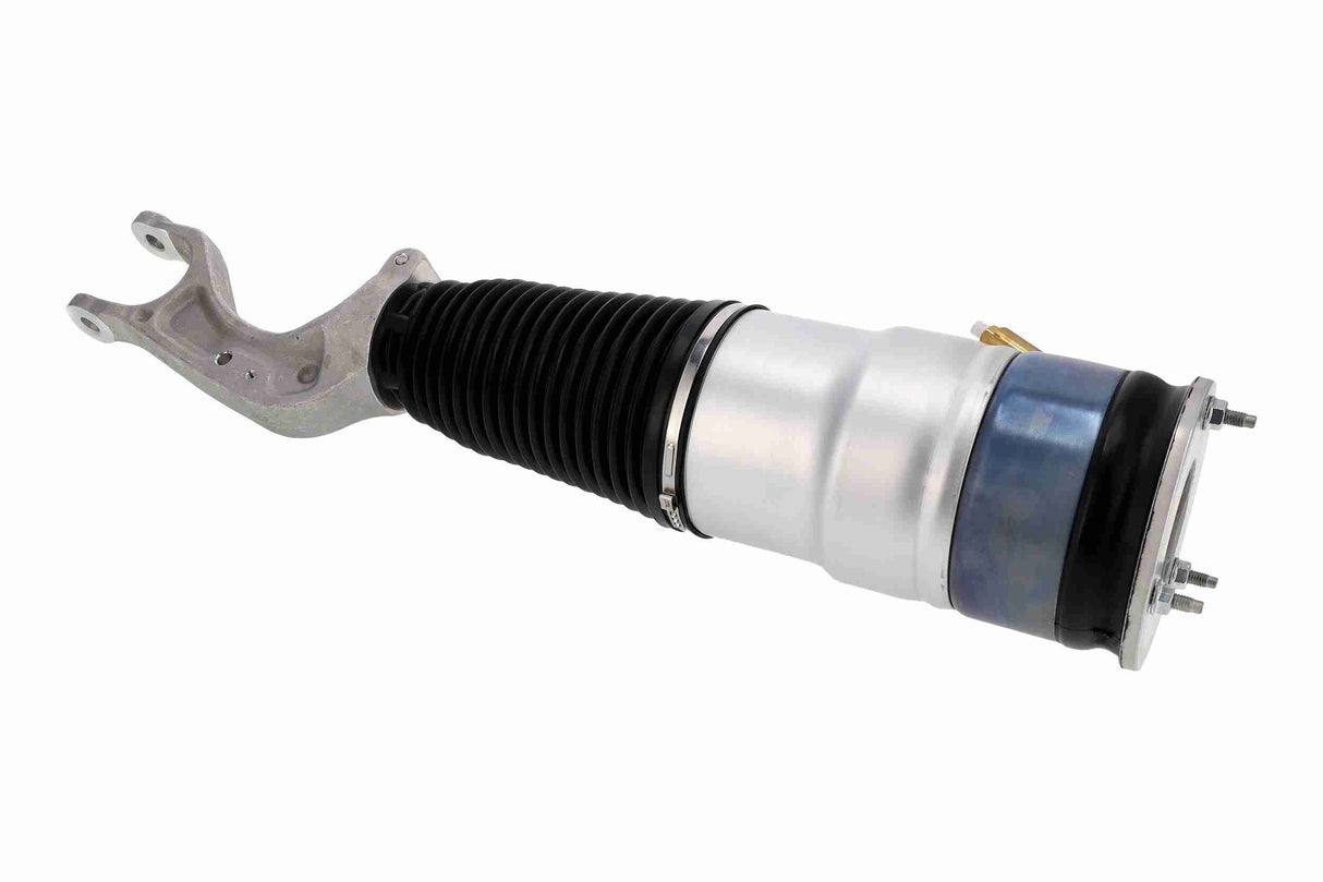 Air Suspension Strut - V58-50-0014
