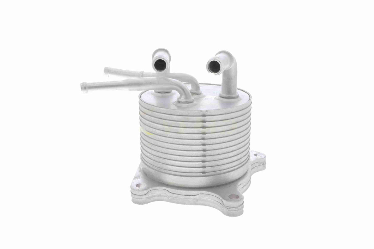 Oil Cooler, automatic transmission - V33-60-0012