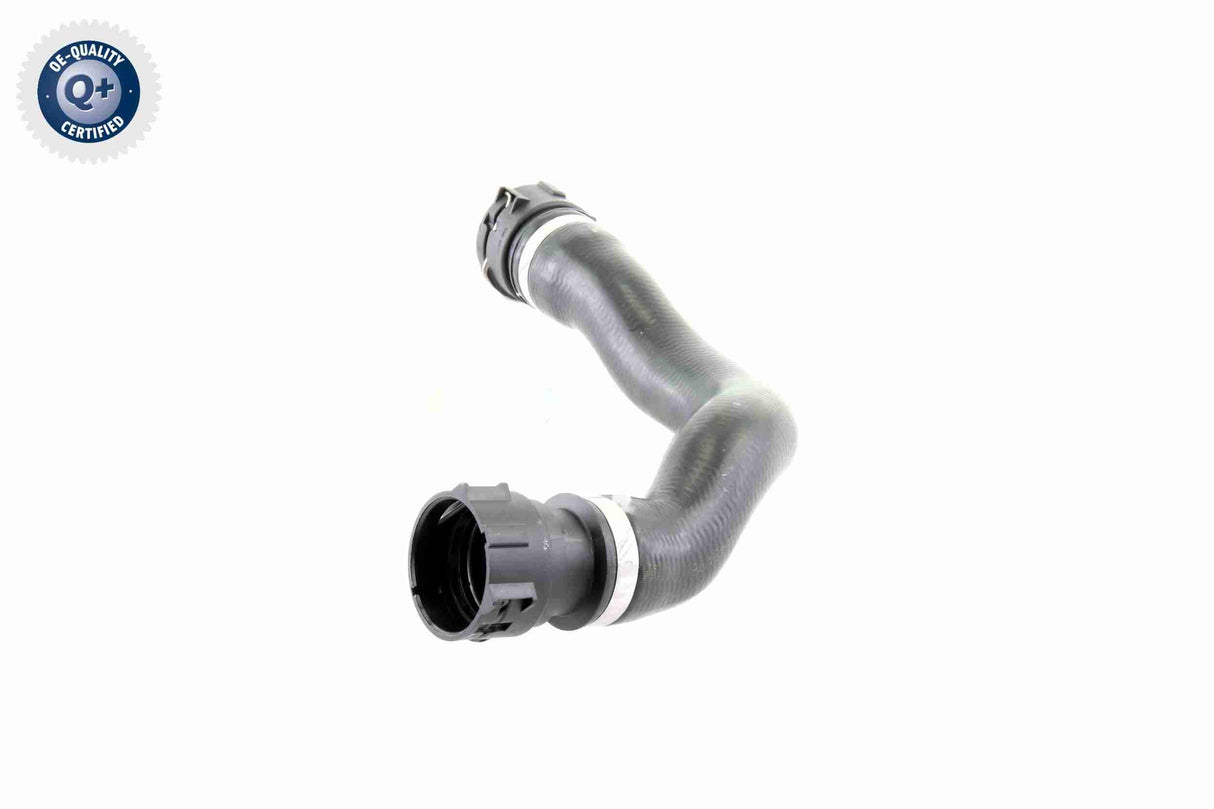 Radiator Hose - V20-1460