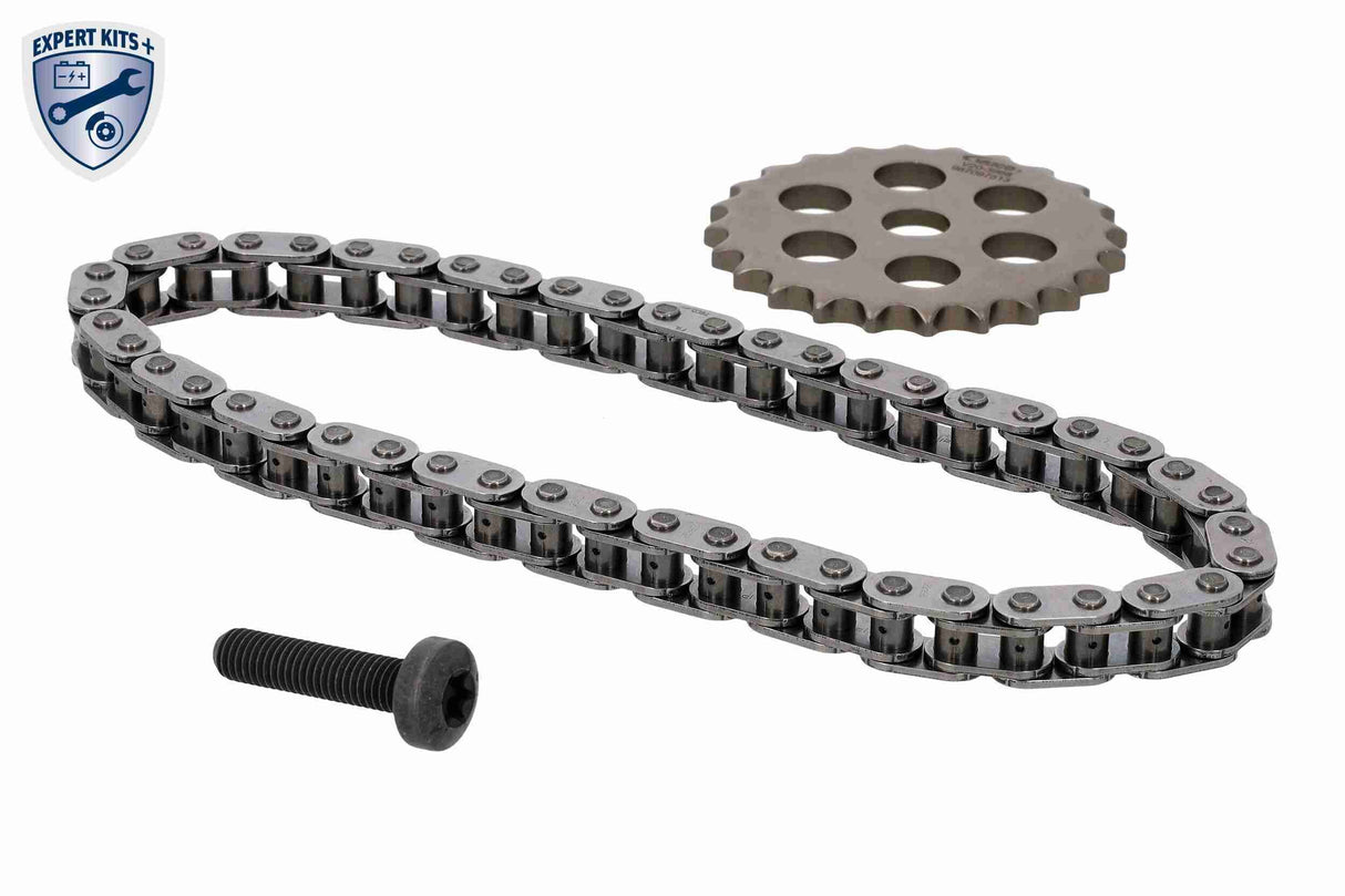 Chain Kit, oil pump drive - V20-4073