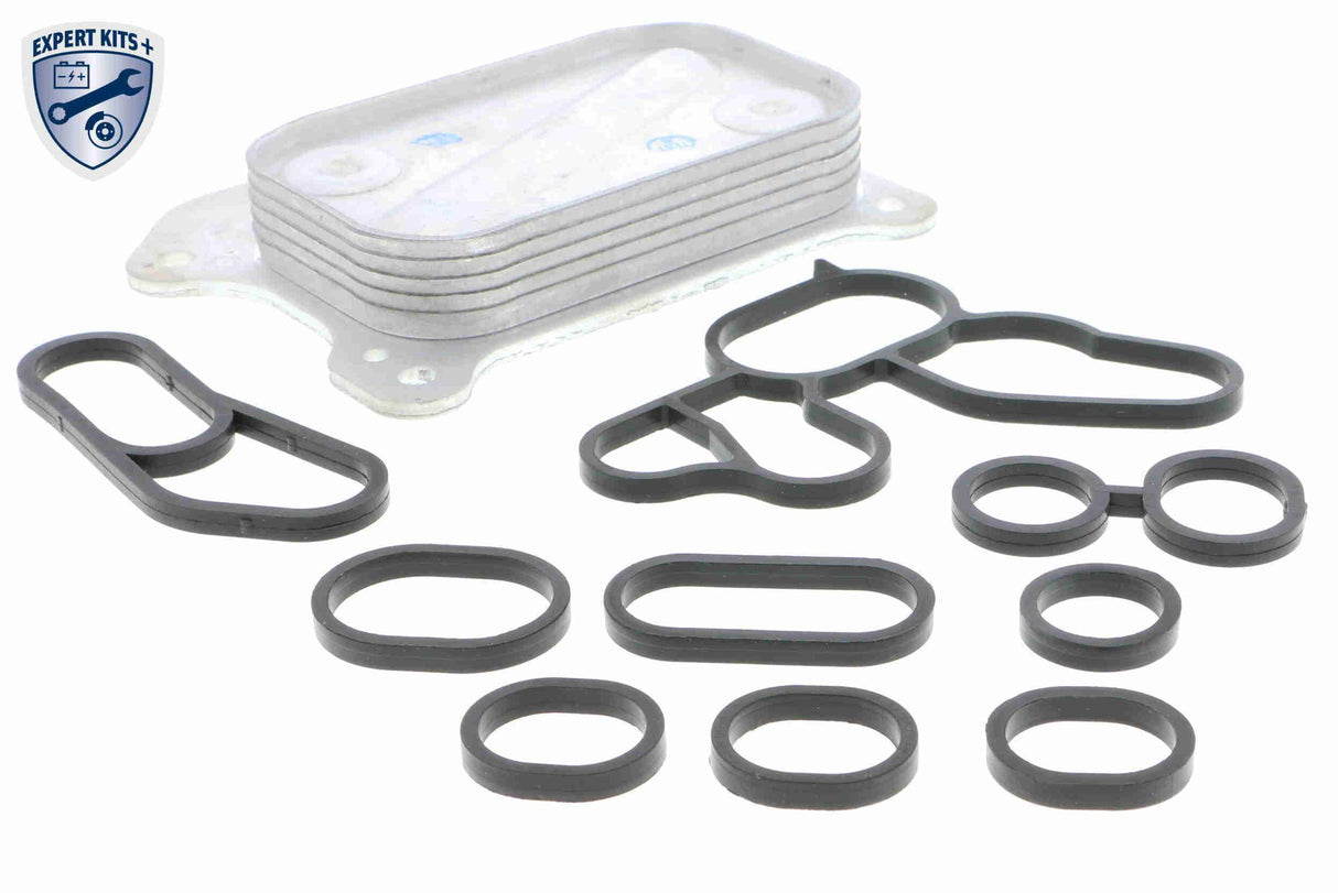 Oil Cooler, engine oil - V24-60-0001