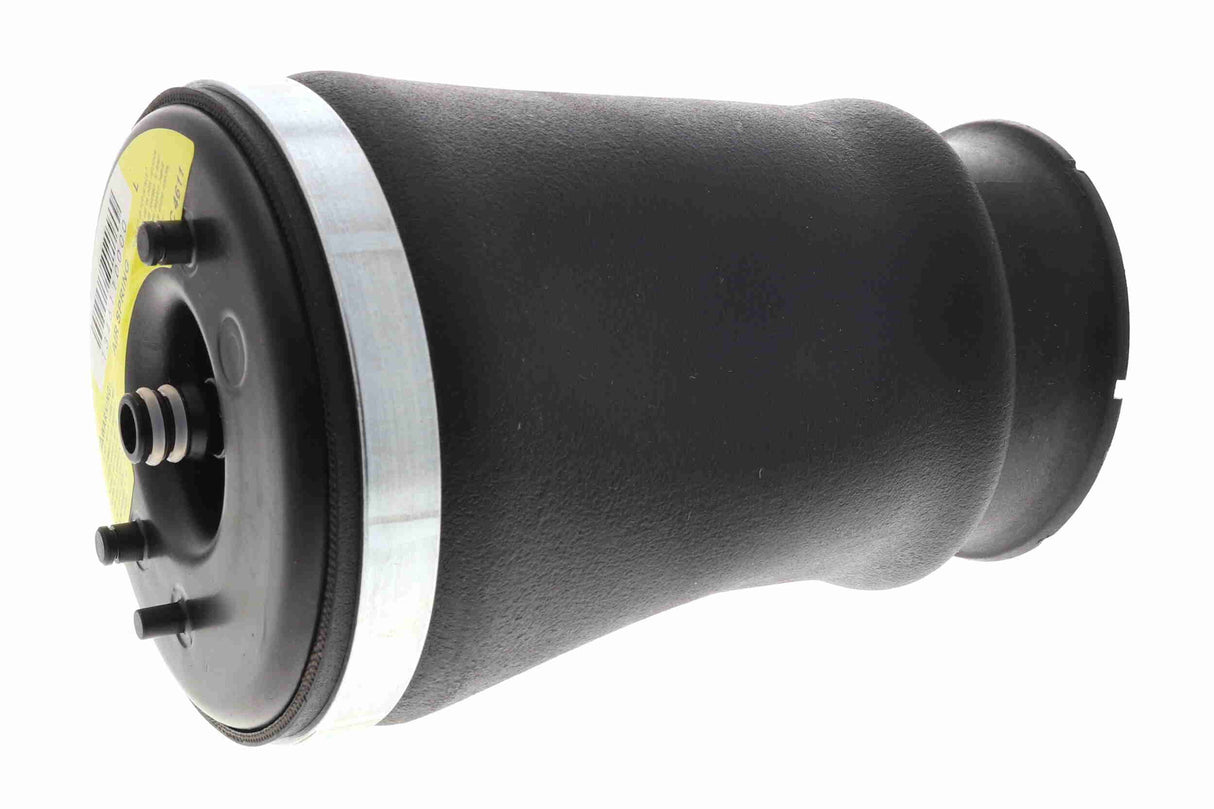 Air Suspension Strut - V20-50-0020-1