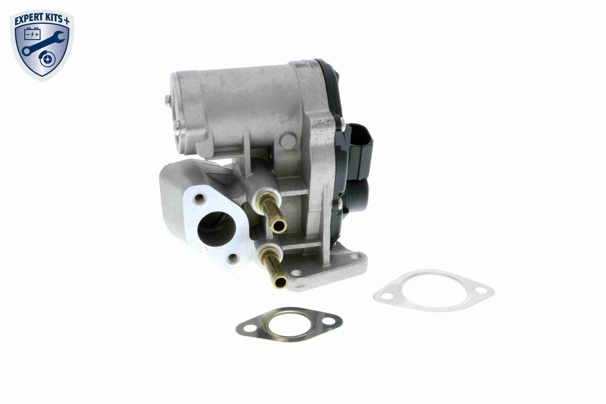 Valve, exhaust gas recirculation - V10-63-0012