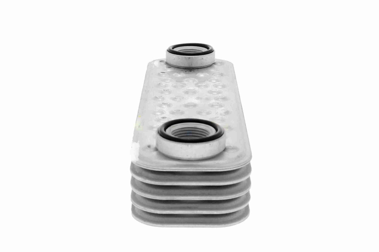 Oil Cooler, engine oil - V48-60-0040