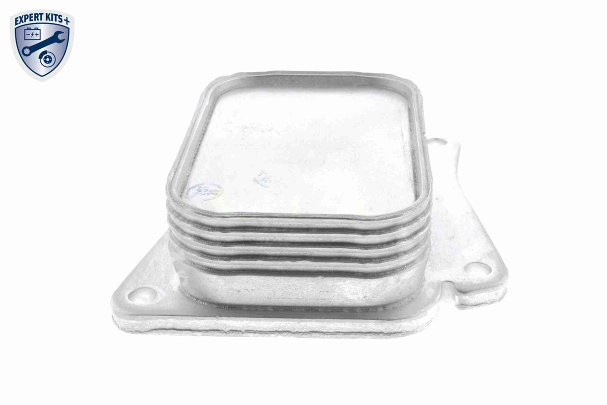 Oil Cooler, engine oil - V30-60-1313
