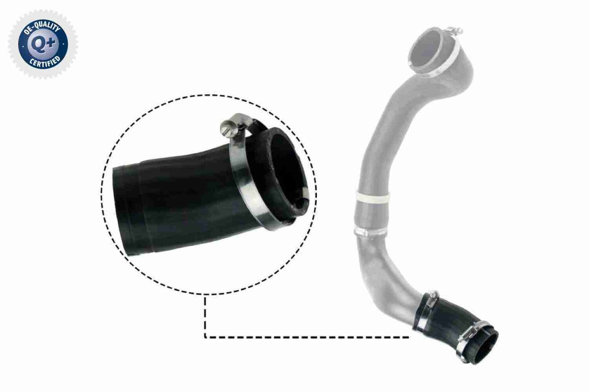 Charge Air Hose - V48-0186