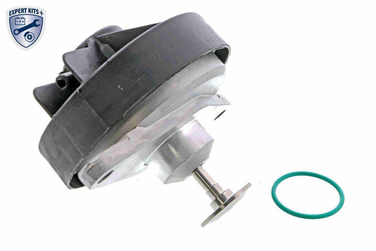Valve, exhaust gas recirculation - V40-63-0020