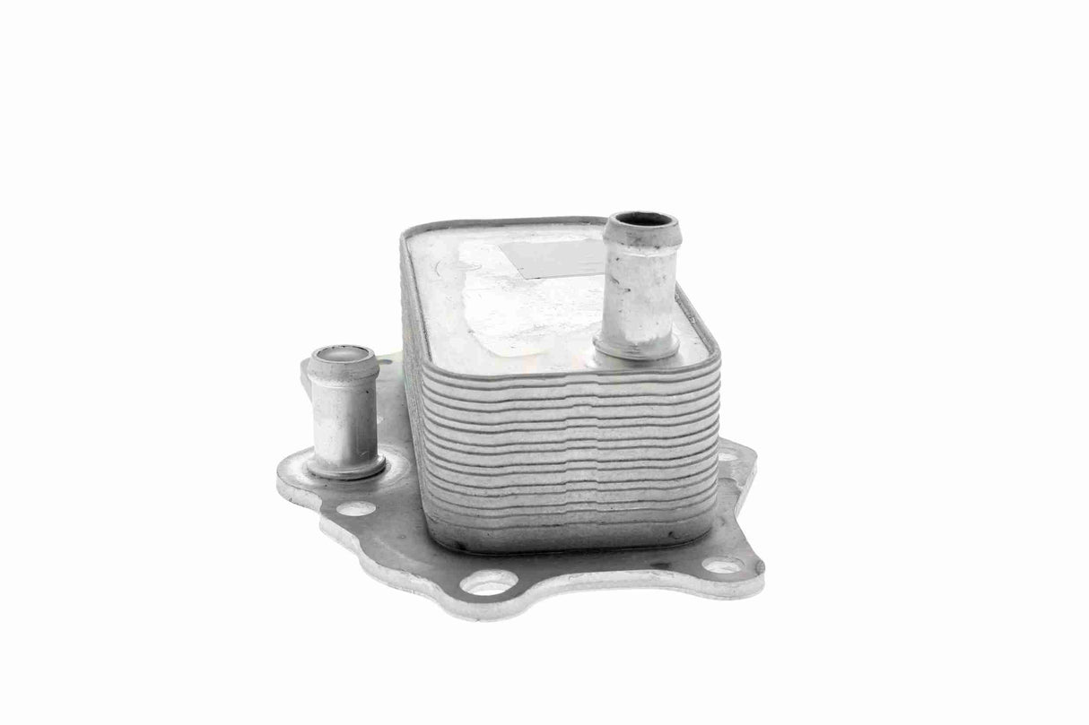 Oil Cooler, engine oil - V51-60-0004