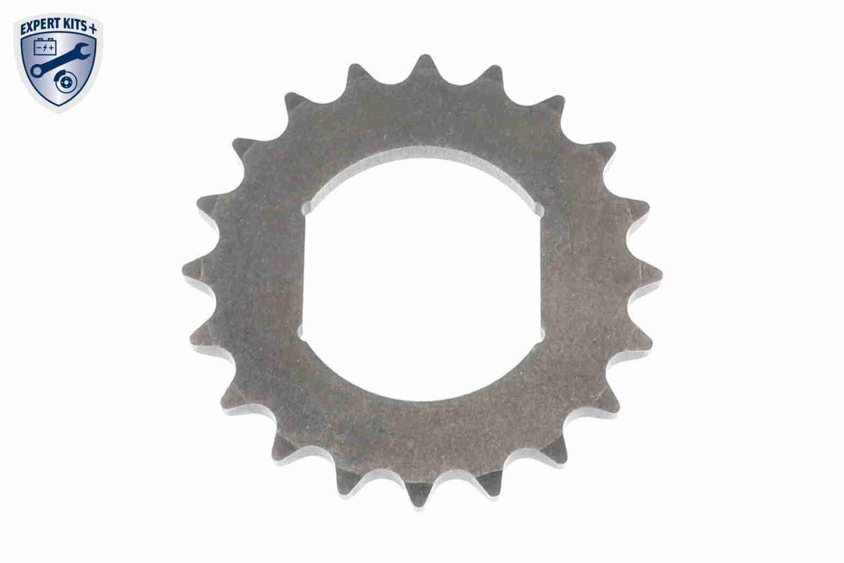Timing Chain Kit - V40-10003