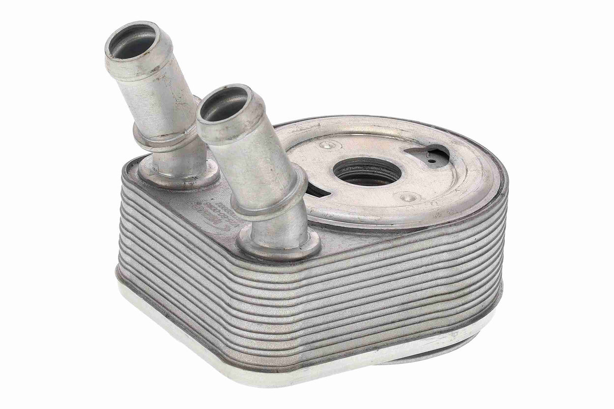 Oil Cooler, engine oil - V25-60-0096