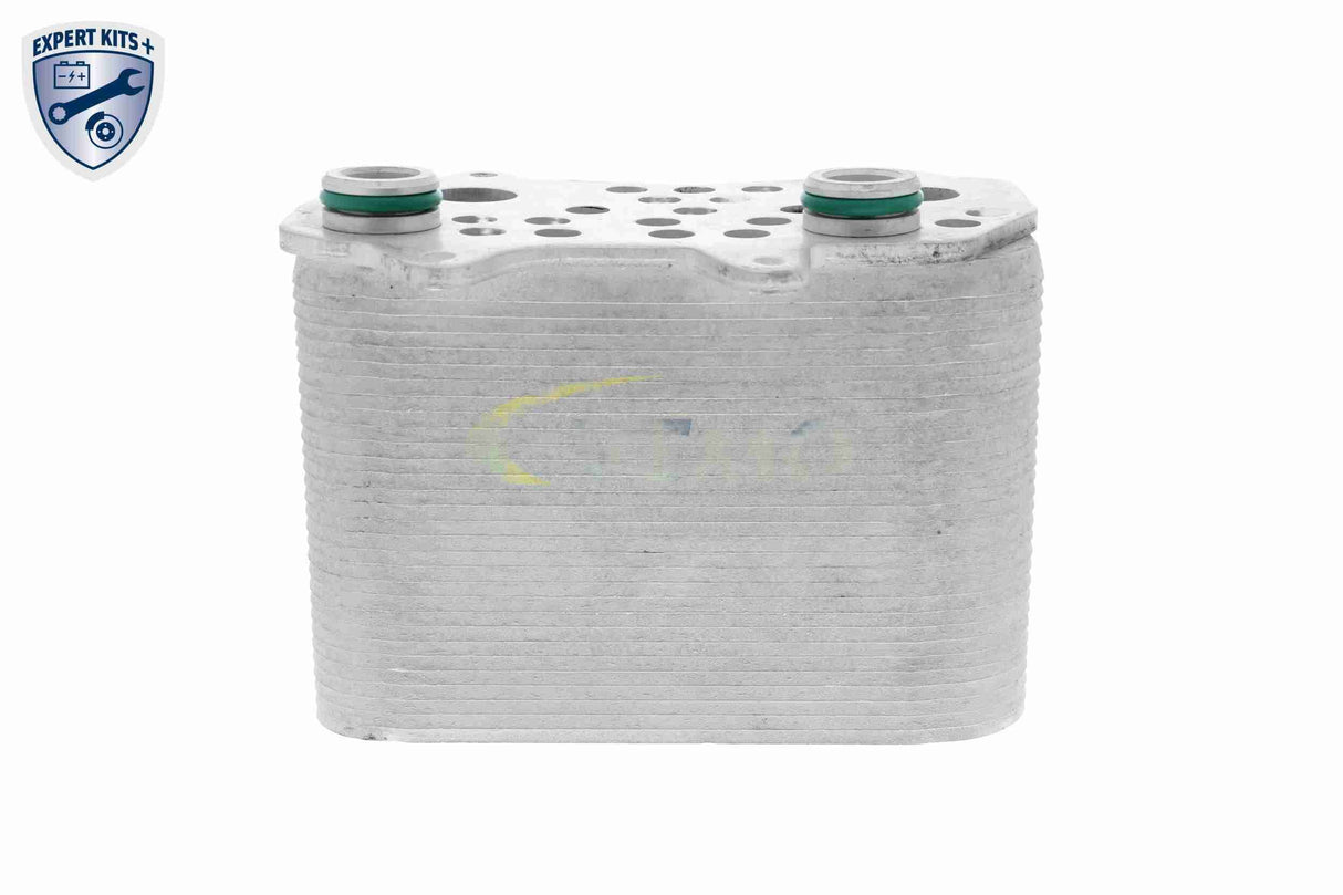 Oil Cooler, automatic transmission - V45-60-0001