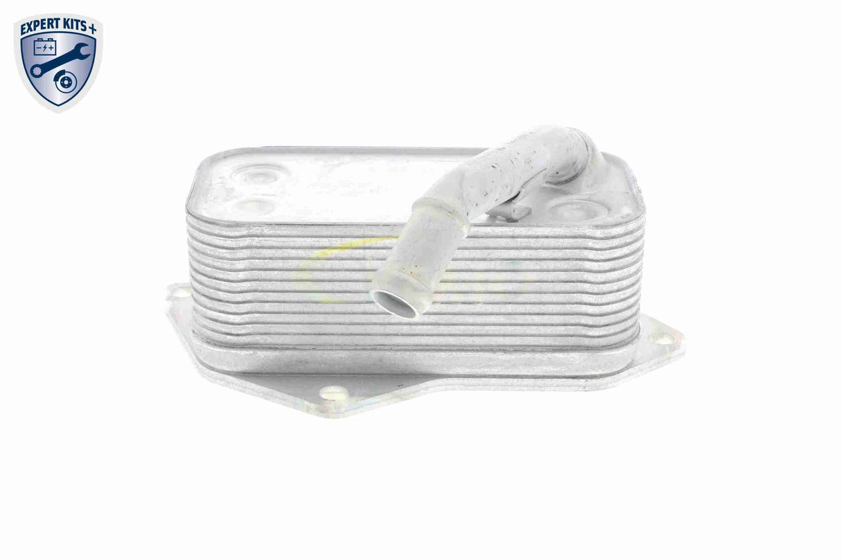 Oil Cooler, engine oil - V20-60-0045