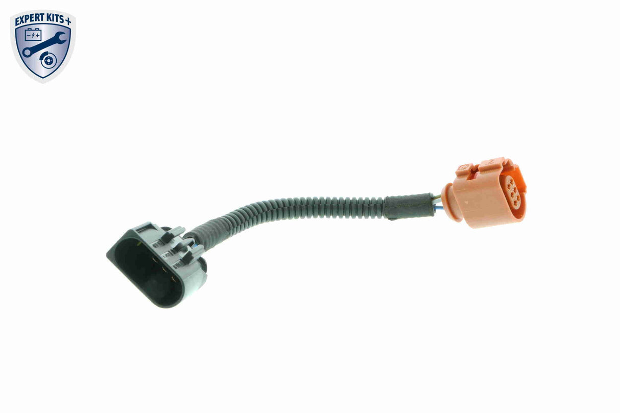 Throttle Body - V24-81-0002