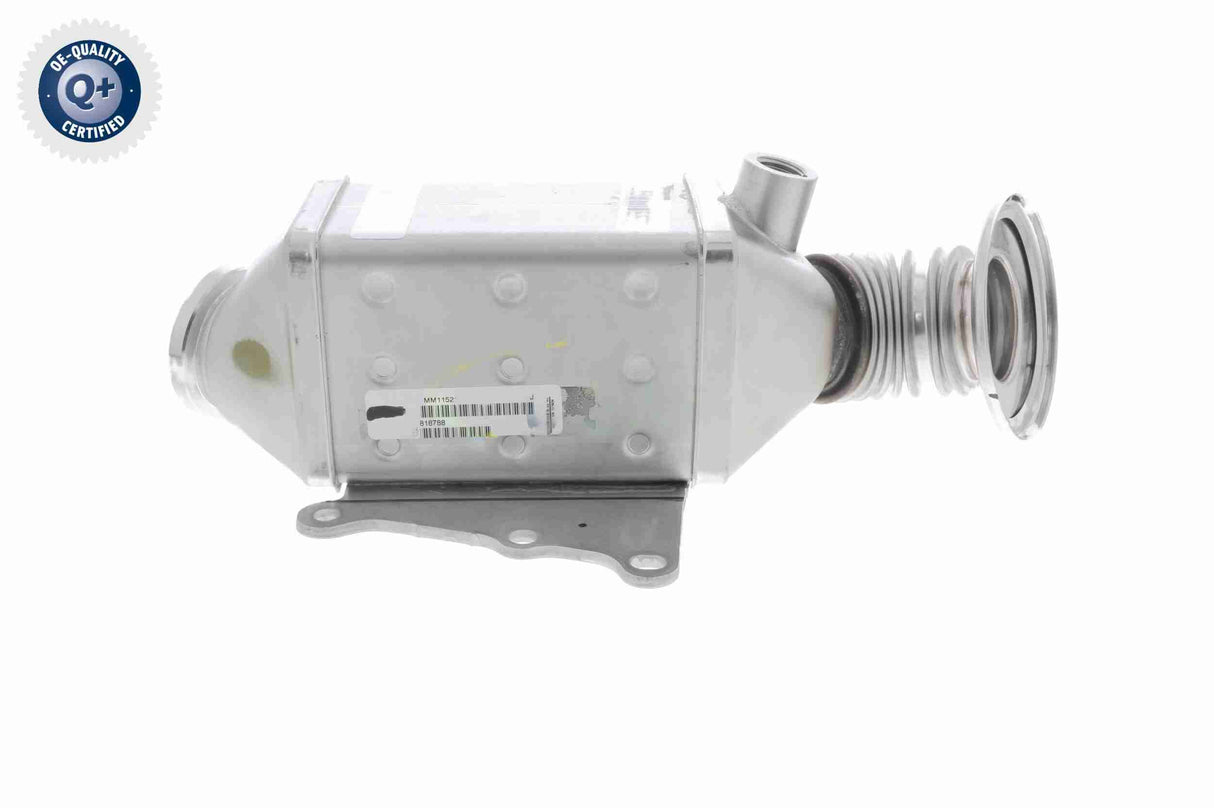 Cooler, exhaust gas recirculation - V24-63-0023
