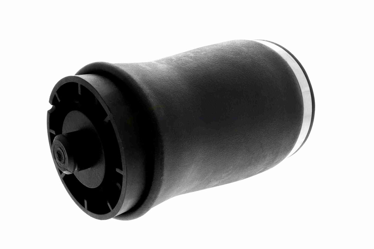 Air Suspension Strut - V20-50-0002-1