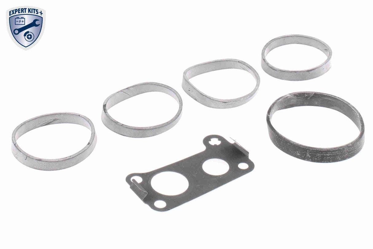 Intake Manifold Module - V30-1583