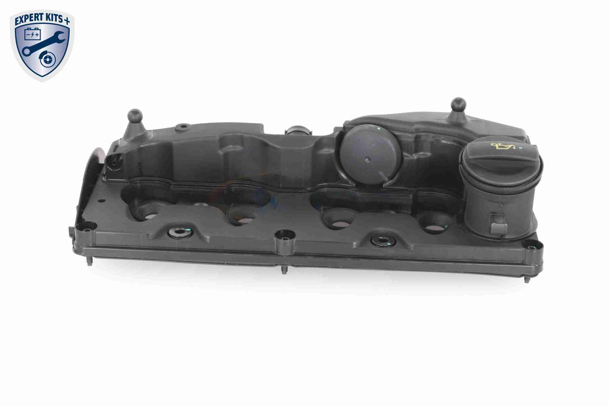 Cylinder Head Cover - V10-6511