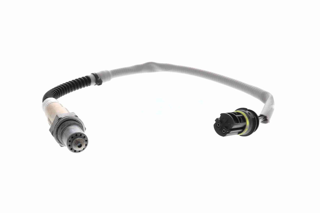 Oxygen Sensor - V20-76-0084