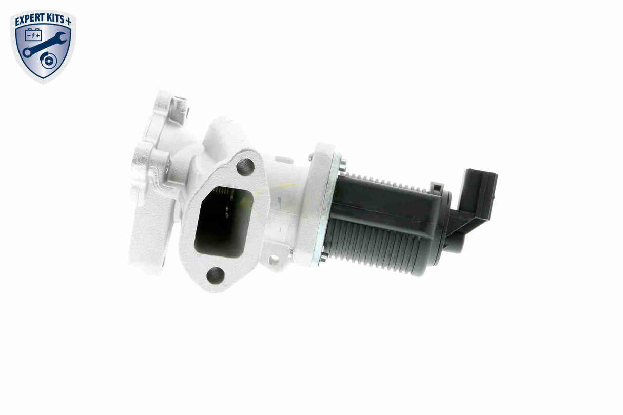 Valve, exhaust gas recirculation - V24-63-0011