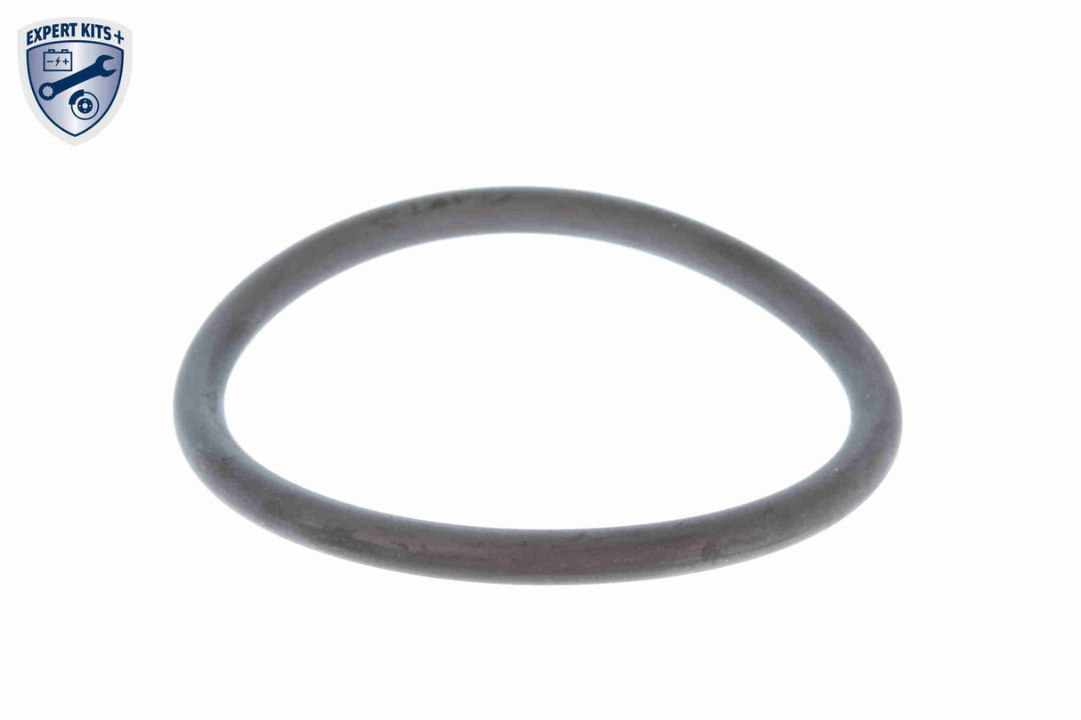 Thermostat, coolant - V15-99-2059