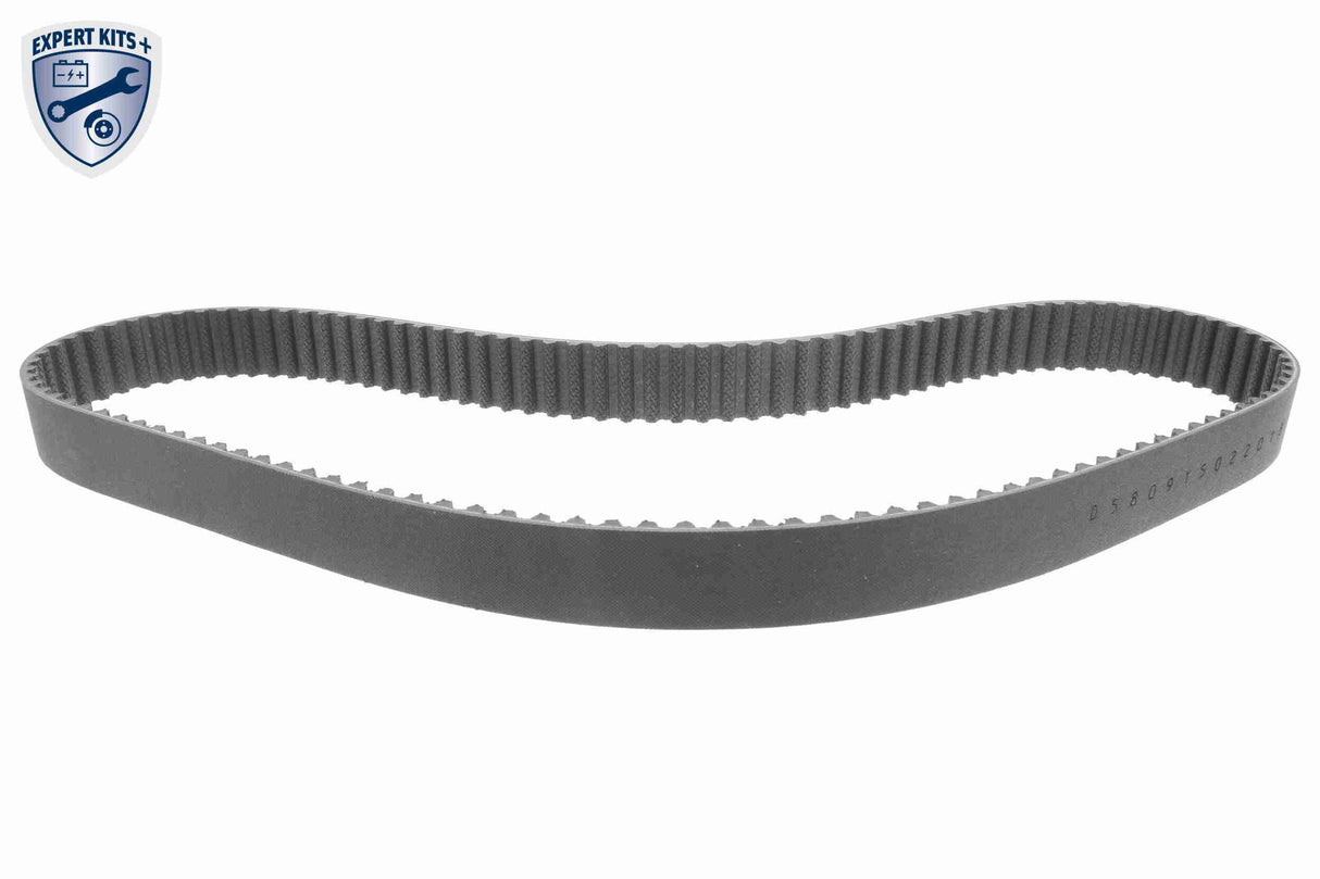 Water Pump & Timing Belt Kit - V10-50108