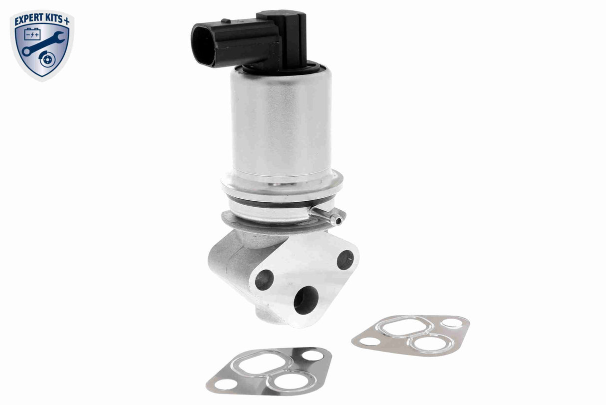 Valve, exhaust gas recirculation - V10-63-0006