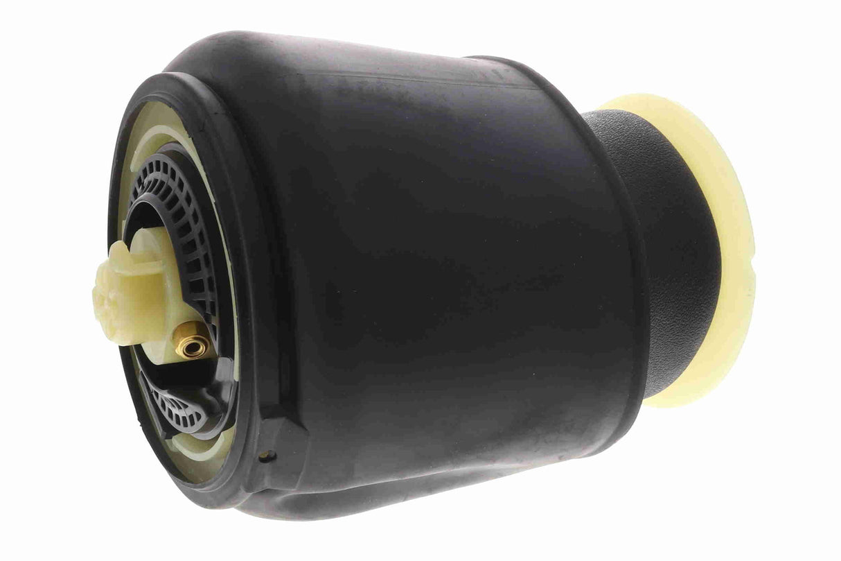 Air Suspension Strut - V20-50-0011-1