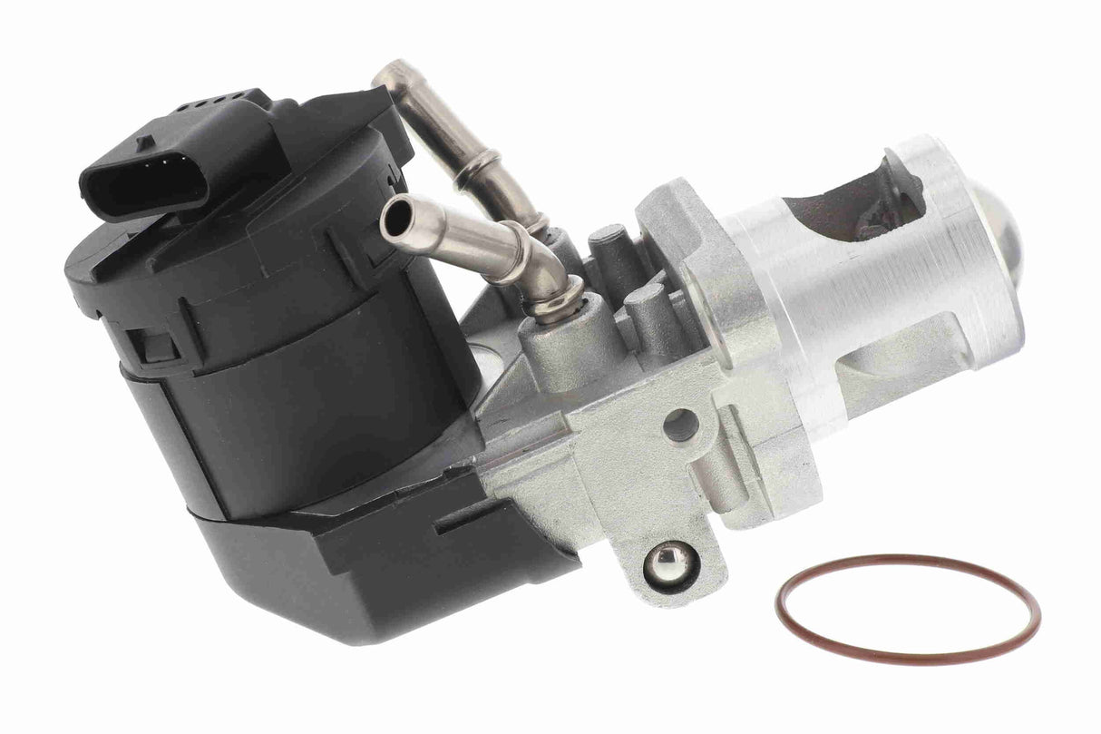 Valve, exhaust gas recirculation - V20-63-0012