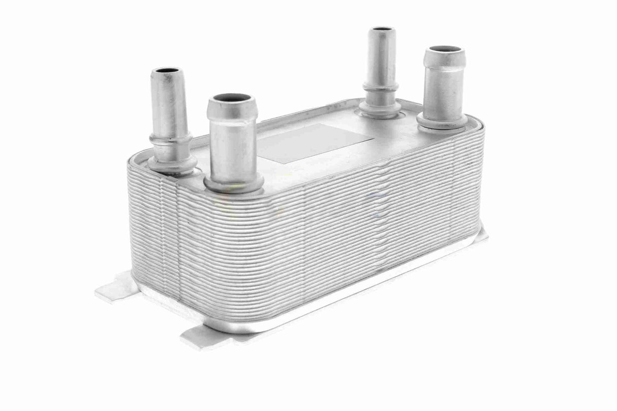 Oil Cooler, engine oil - V25-60-0044