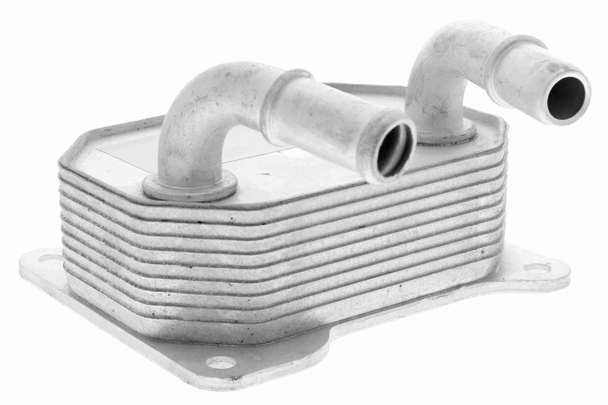 Oil Cooler, engine oil - V25-60-0041