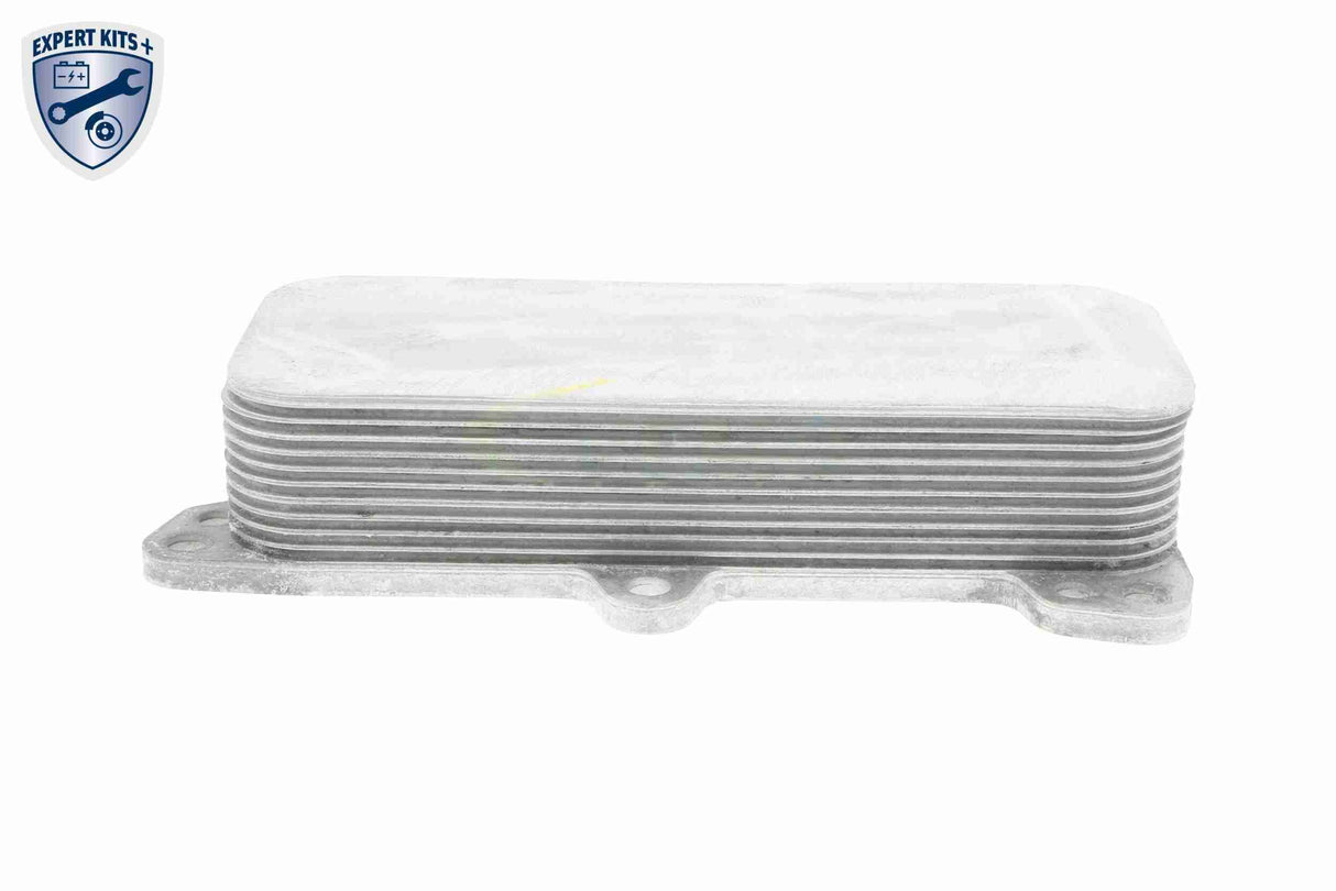 Oil Cooler, engine oil - V15-60-6017
