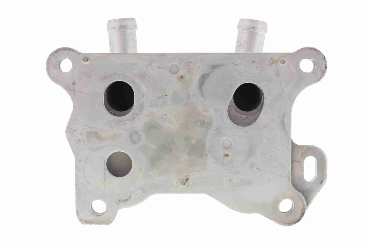 Oil Cooler, engine oil - V38-60-0004