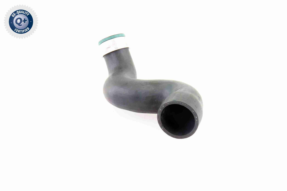 Charge Air Hose - V10-3825
