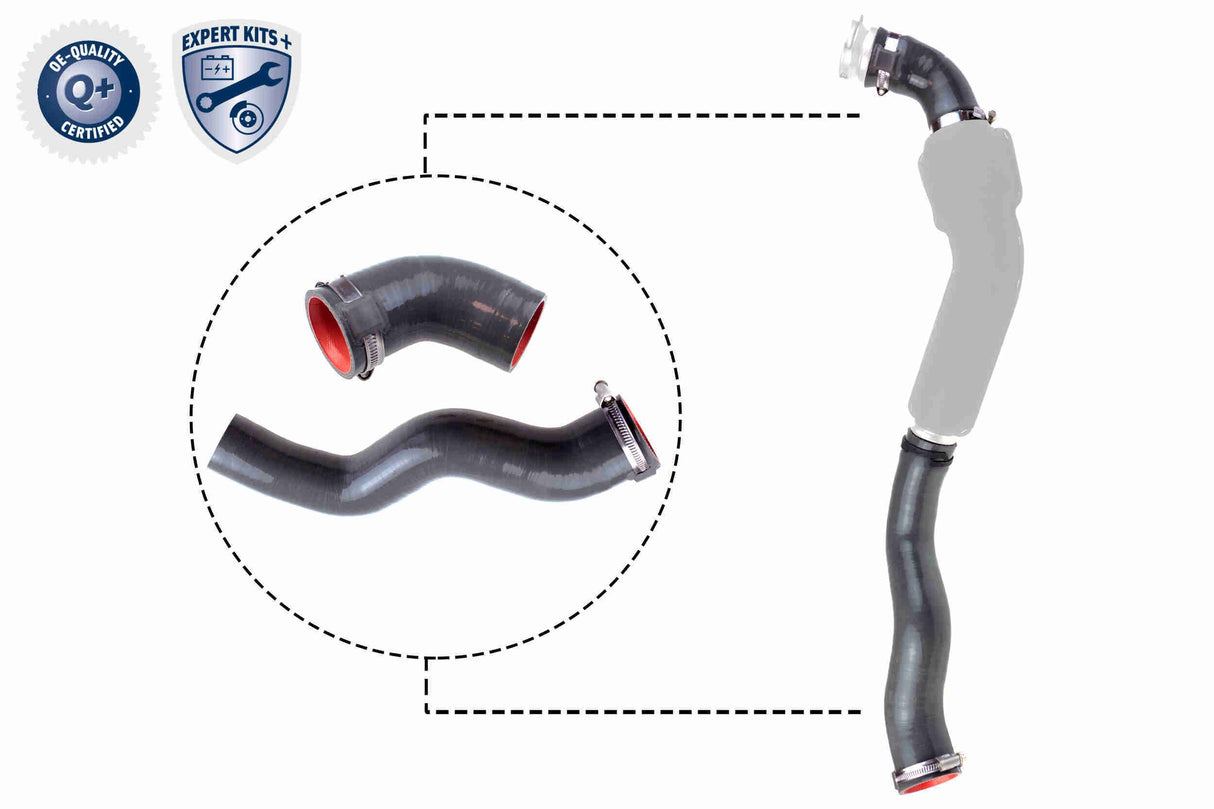 Charge Air Hose - V46-1031