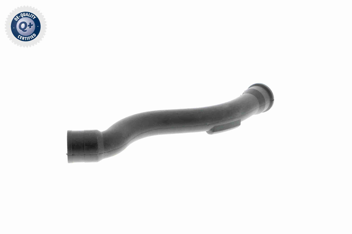 Hose, crankcase ventilation - V10-2938